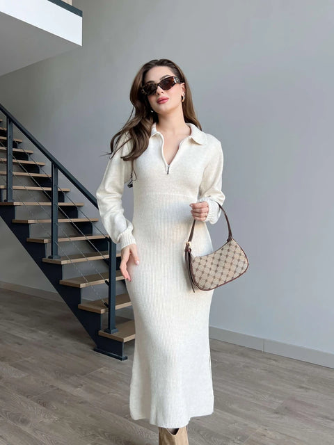 ALMA ZIPPERED COLLAR DRESS
