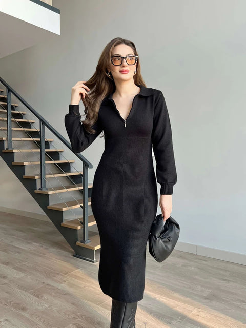 ALMA ZIPPERED COLLAR DRESS